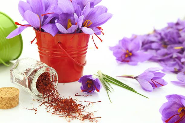 تصویر 1 از خرید پودر زعفران زرین خراسان + فروش صادراتی
